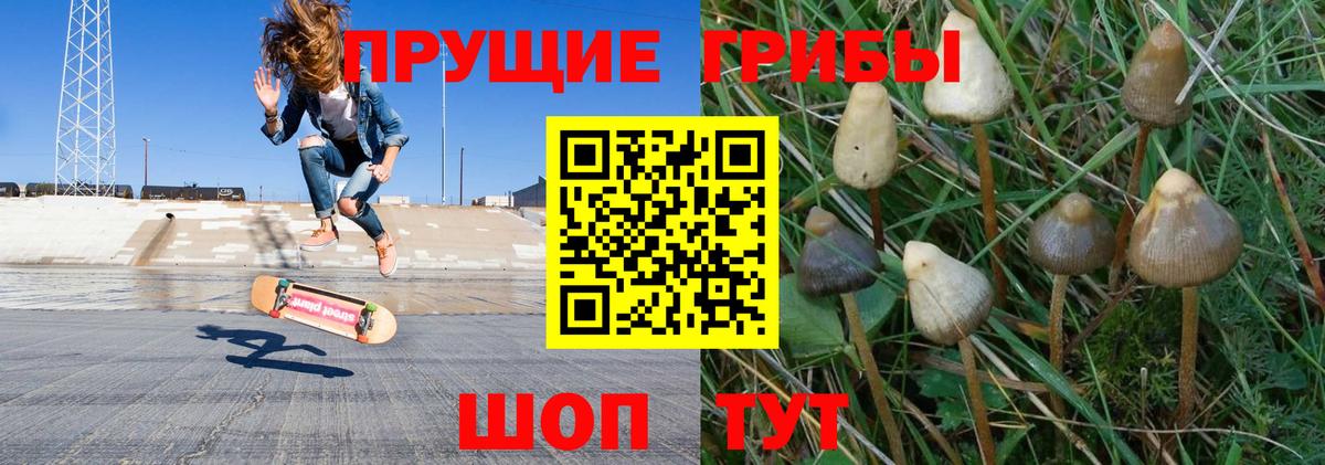 Псилоцибиновые грибы Magic Shrooms Коркино